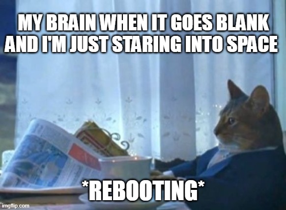 I Should Buy A Boat Cat | MY BRAIN WHEN IT GOES BLANK AND I'M JUST STARING INTO SPACE; *REBOOTING* | image tagged in memes,my brain | made w/ Imgflip meme maker