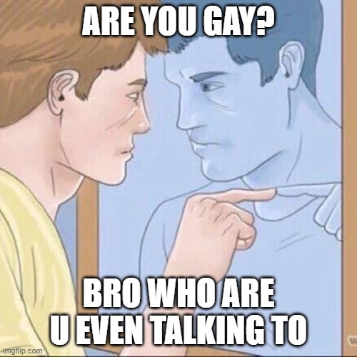 Pointing mirror guy | ARE YOU GAY? BRO WHO ARE U EVEN TALKING TO | image tagged in pointing mirror guy | made w/ Imgflip meme maker