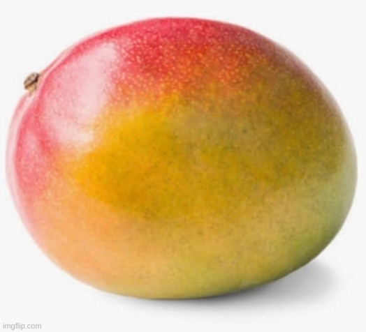 Mango | image tagged in mango | made w/ Imgflip meme maker