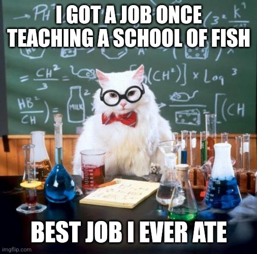 Chemistry Cat | I GOT A JOB ONCE TEACHING A SCHOOL OF FISH; BEST JOB I EVER ATE | image tagged in memes,chemistry cat | made w/ Imgflip meme maker