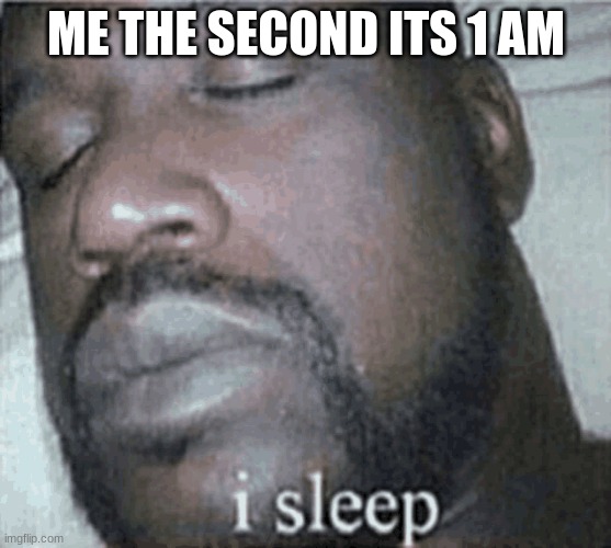 i sleep | ME THE SECOND ITS 1 AM | image tagged in sleep | made w/ Imgflip meme maker