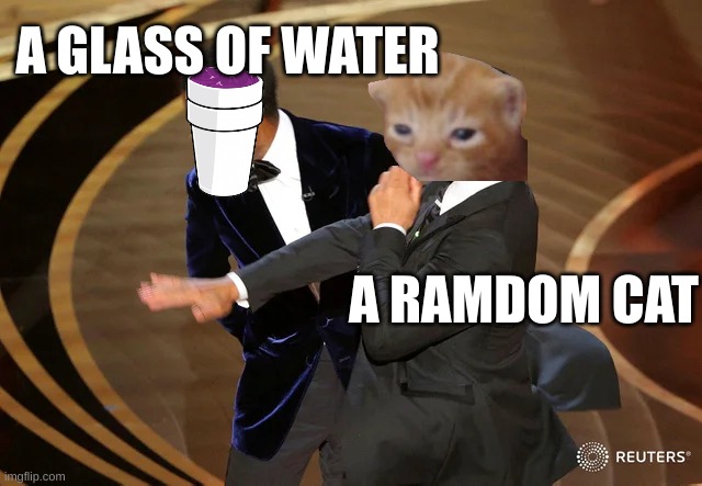 Will Smith punching Chris Rock | A GLASS OF WATER; A RAMDOM CAT | image tagged in will smith punching chris rock | made w/ Imgflip meme maker