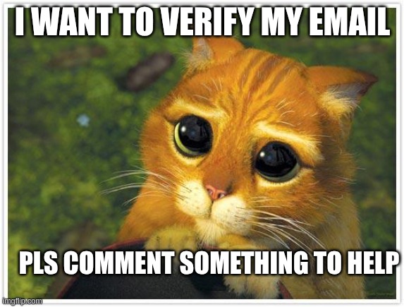 Shrek Cat | I WANT TO VERIFY MY EMAIL; PLS COMMENT SOMETHING TO HELP | image tagged in memes,shrek cat | made w/ Imgflip meme maker