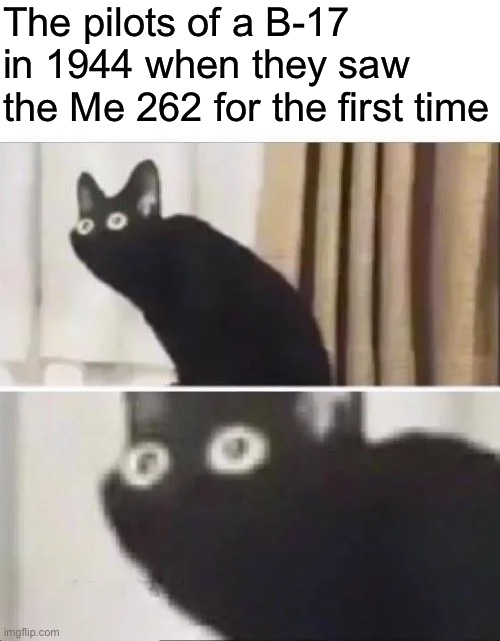 “What the hell was that?” | The pilots of a B-17 in 1944 when they saw the Me 262 for the first time | image tagged in oh no black cat,msmg | made w/ Imgflip meme maker