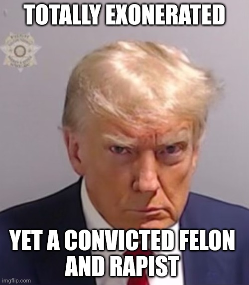 Felon | TOTALLY EXONERATED; YET A CONVICTED FELON 
AND RAPIST | image tagged in donald trump mugshot,felon | made w/ Imgflip meme maker