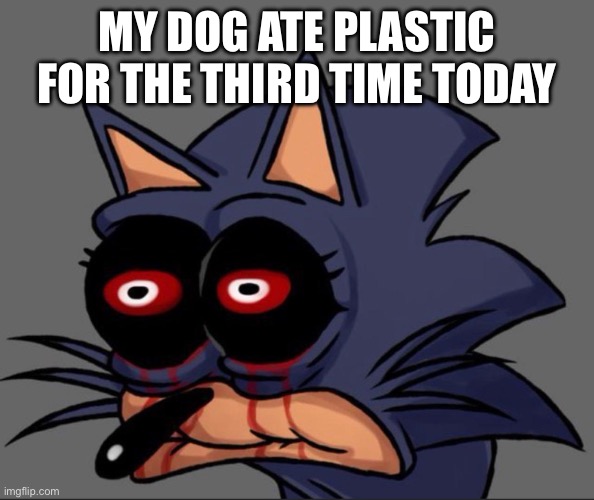 stop eating plastic | MY DOG ATE PLASTIC FOR THE THIRD TIME TODAY | made w/ Imgflip meme maker