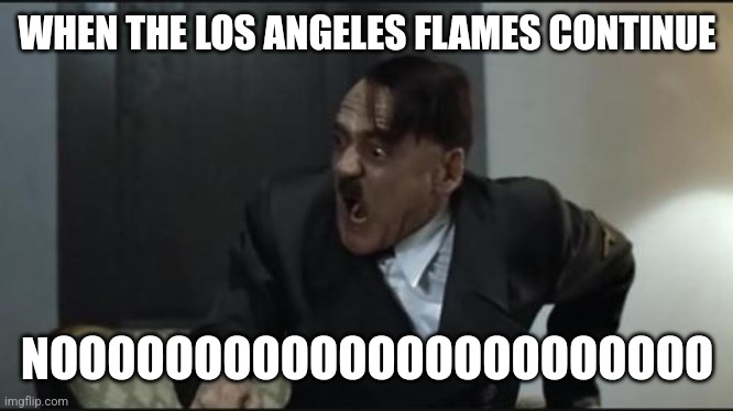 Hitler | WHEN THE LOS ANGELES FLAMES CONTINUE; NOOOOOOOOOOOOOOOOOOOOOOO | image tagged in hitler,los angeles,fire,wtf,no way,why | made w/ Imgflip meme maker