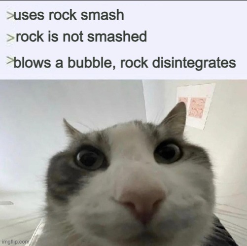 Cat looks inside | uses rock smash; rock is not smashed; blows a bubble, rock disintegrates | image tagged in cat looks inside | made w/ Imgflip meme maker