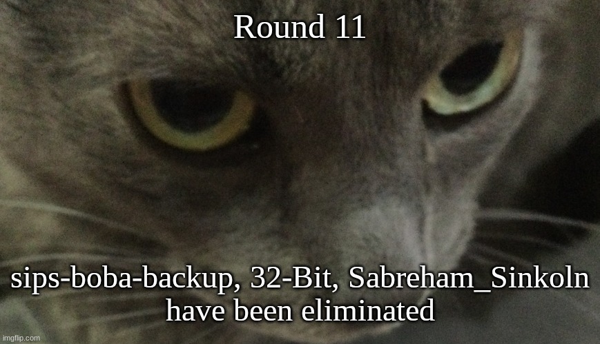 Sweetie | Round 11; sips-boba-backup, 32-Bit, Sabreham_Sinkoln
have been eliminated | image tagged in sweetie | made w/ Imgflip meme maker