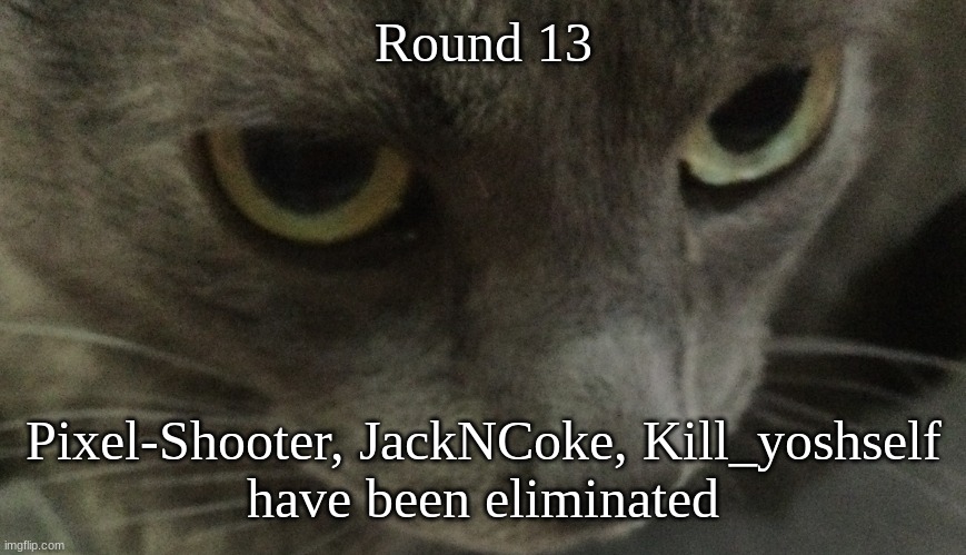 Sweetie | Round 13; Pixel-Shooter, JackNCoke, Kill_yoshself
have been eliminated | image tagged in sweetie | made w/ Imgflip meme maker