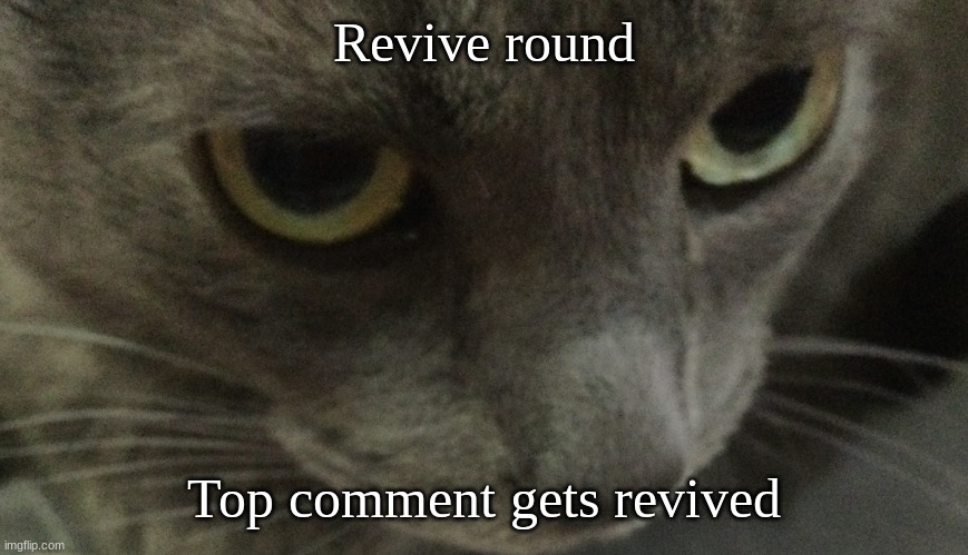 Sweetie | Revive round; Top comment gets revived | image tagged in sweetie | made w/ Imgflip meme maker