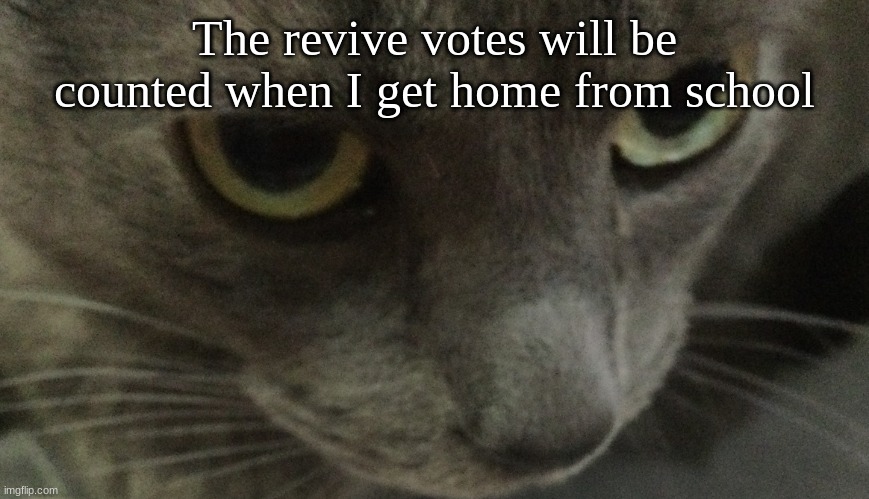 Sweetie | The revive votes will be counted when I get home from school | image tagged in sweetie | made w/ Imgflip meme maker