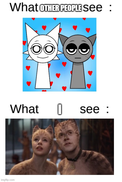 what other people see Vs What I see | OTHER PEOPLE; I | image tagged in sprunki,cats,movue,idk what to put here | made w/ Imgflip meme maker