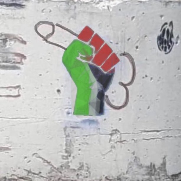 Free Palestine Blank Meme Template