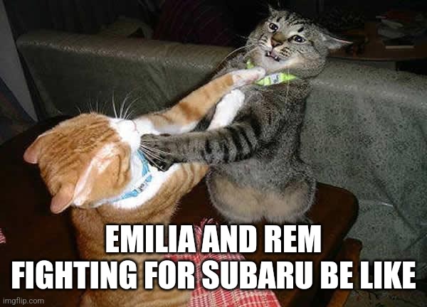 Fr | EMILIA AND REM FIGHTING FOR SUBARU BE LIKE | image tagged in two cats fighting for real,re zero | made w/ Imgflip meme maker