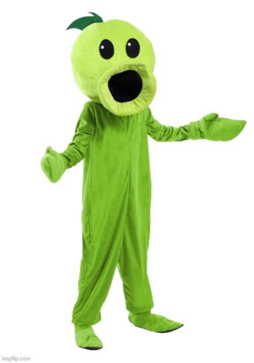 rate my fit | image tagged in cursed peashooter | made w/ Imgflip meme maker