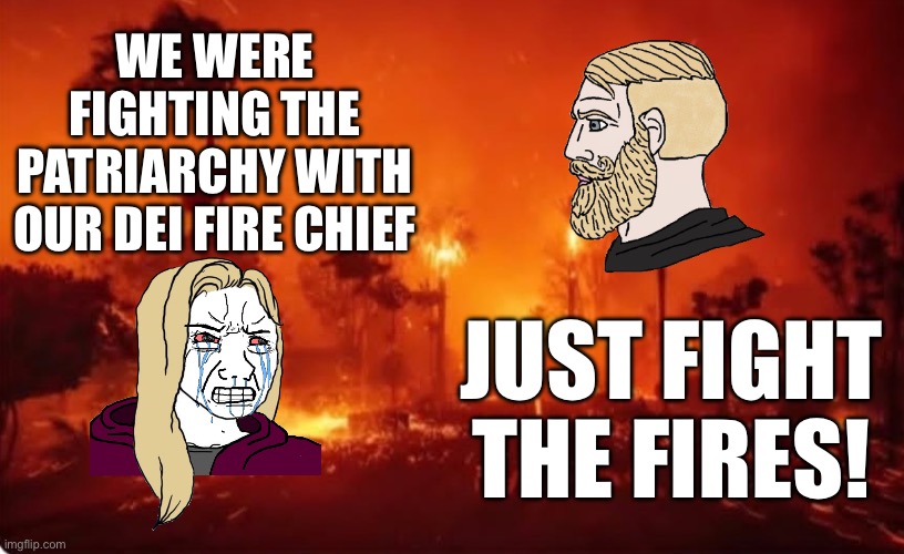 When you focus on the wrong target, nothing good happens. | WE WERE FIGHTING THE PATRIARCHY WITH OUR DEI FIRE CHIEF; JUST FIGHT THE FIRES! | image tagged in la fires 2025,looney liberals,woke,dei is worthless,replace newsome now | made w/ Imgflip meme maker