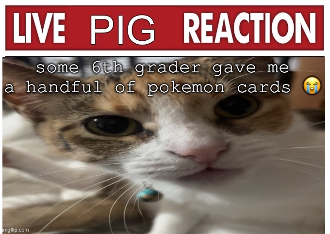 woah | some 6th grader gave me a handful of pokemon cards 😭 | image tagged in woah | made w/ Imgflip meme maker