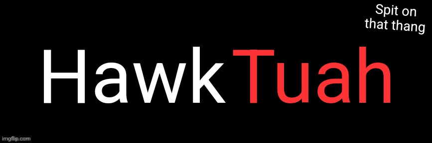 Imgflip custom logo maker | Hawk; Tuah; Spit on that thang | image tagged in imgflip custom logo maker | made w/ Imgflip meme maker