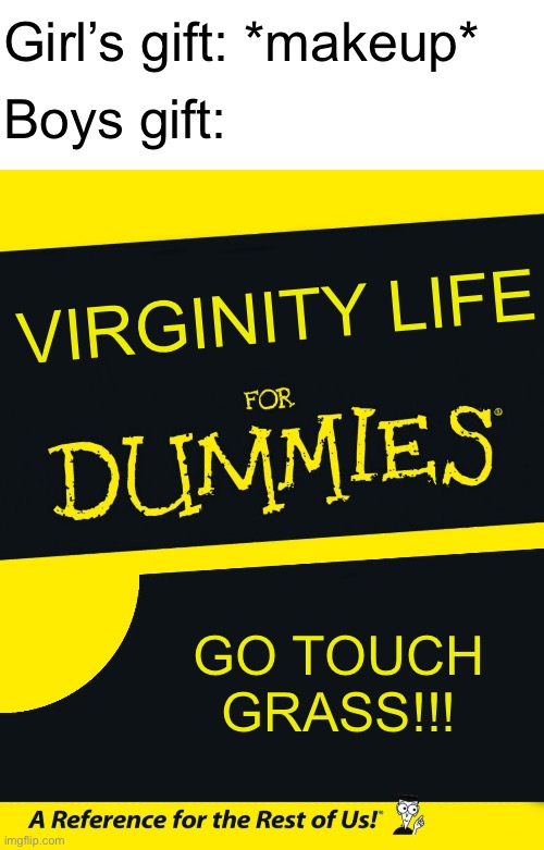 For Dummies | Girl’s gift: *makeup*; Boys gift:; VIRGINITY LIFE; GO TOUCH GRASS!!! | image tagged in for dummies,boys vs girls,gift | made w/ Imgflip meme maker