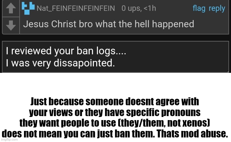 Just because someone doesnt agree with your views or they have specific pronouns they want people to use (they/them, not xenos) does not mean you can just ban them. Thats mod abuse. | made w/ Imgflip meme maker