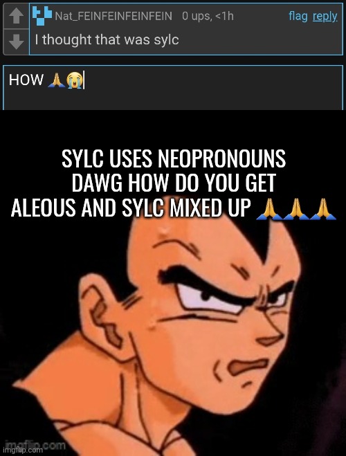 SYLC USES NEOPRONOUNS DAWG HOW DO YOU GET ALEOUS AND SYLC MIXED UP 🙏🙏🙏 | image tagged in qhahwhytathhthtt | made w/ Imgflip meme maker