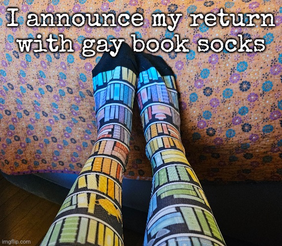 I announce my return with gay book socks | made w/ Imgflip meme maker