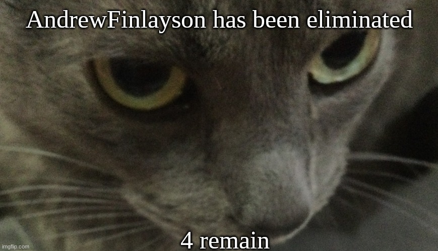 Sweetie | AndrewFinlayson has been eliminated; 4 remain | image tagged in sweetie | made w/ Imgflip meme maker