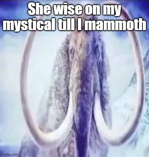 Mammoth | She wise on my mystical till I mammoth | image tagged in mammoth | made w/ Imgflip meme maker