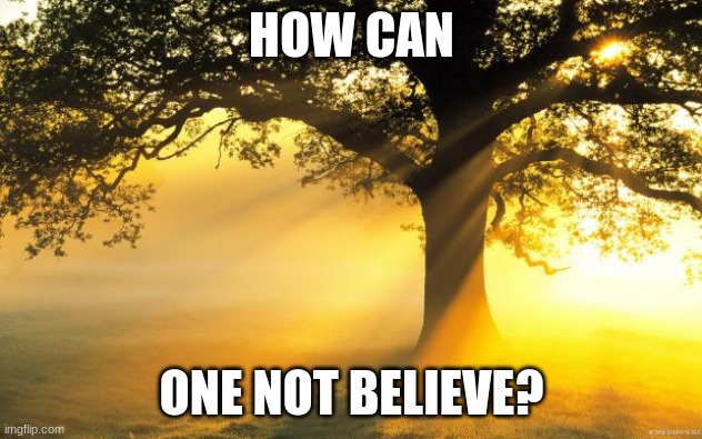 HOW CAN ONE NOT BELIEVE? | image tagged in nature | made w/ Imgflip meme maker