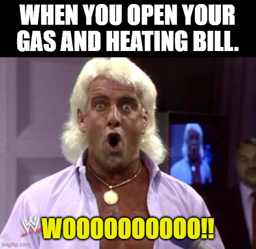 Man times are Tough right now!! LOL | WHEN YOU OPEN YOUR GAS AND HEATING BILL. WOOOOOOOOOO!! | image tagged in ric flair friday,gas,bills,wwe,lol | made w/ Imgflip meme maker