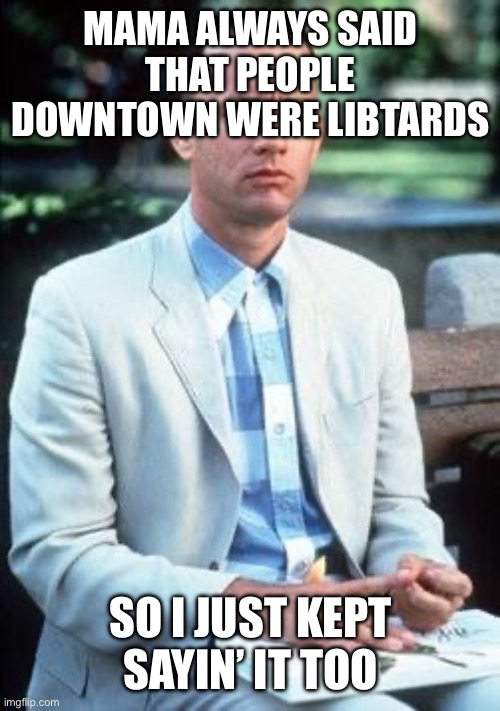 Forest gump | MAMA ALWAYS SAID THAT PEOPLE DOWNTOWN WERE LIBTARDS; SO I JUST KEPT SAYIN’ IT TOO | image tagged in forest gump | made w/ Imgflip meme maker