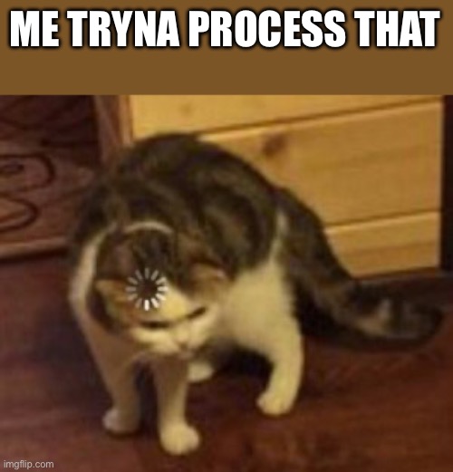 Loading cat | ME TRYNA PROCESS THAT | image tagged in loading cat | made w/ Imgflip meme maker