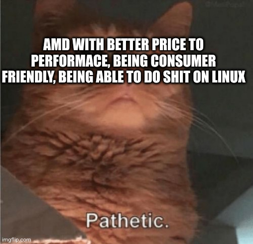 Pathetic Cat | AMD WITH BETTER PRICE TO PERFORMACE, BEING CONSUMER FRIENDLY, BEING ABLE TO DO SHIT ON LINUX | image tagged in pathetic cat | made w/ Imgflip meme maker