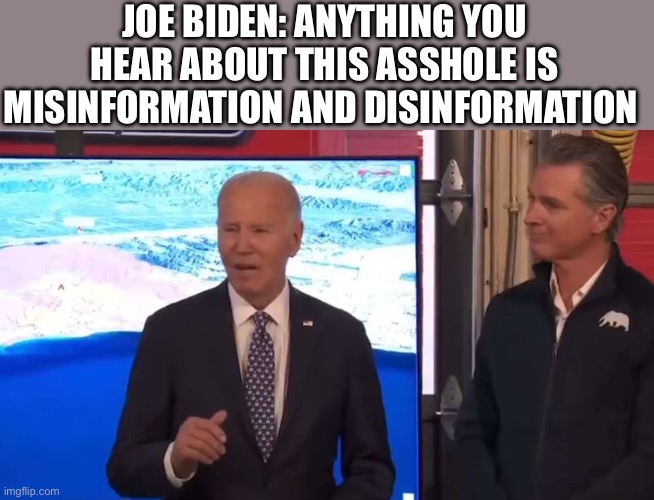 Biden and Newsom | JOE BIDEN: ANYTHING YOU HEAR ABOUT THIS ASSHOLE IS MISINFORMATION AND DISINFORMATION | image tagged in biden and newsom,joe biden,los angeles,fire,politics,political meme | made w/ Imgflip meme maker