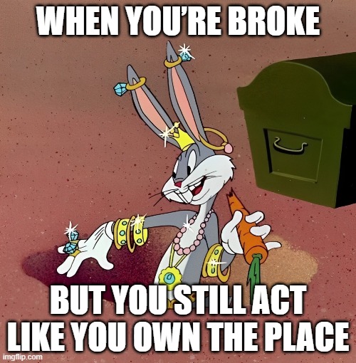 that moment! | WHEN YOU’RE BROKE; BUT YOU STILL ACT LIKE YOU OWN THE PLACE | image tagged in memes | made w/ Imgflip meme maker