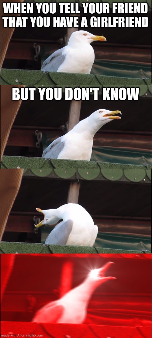 Inhaling Seagull | WHEN YOU TELL YOUR FRIEND THAT YOU HAVE A GIRLFRIEND; BUT YOU DON'T KNOW | image tagged in memes,inhaling seagull | made w/ Imgflip meme maker