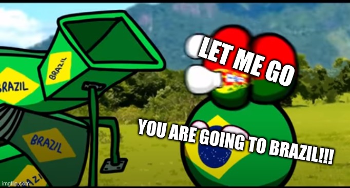 You're going to brazil | LET ME GO; YOU ARE GOING TO BRAZIL!!! | image tagged in you're going to brazil | made w/ Imgflip meme maker