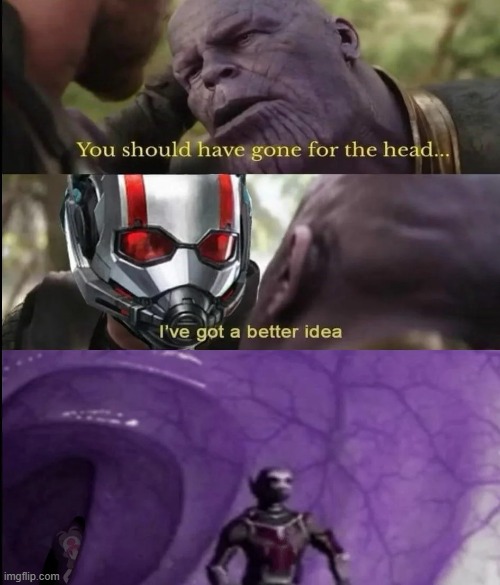 If Only He Hadn't Gotten Sent to the Quantum Realm | image tagged in thanos,ant man | made w/ Imgflip meme maker