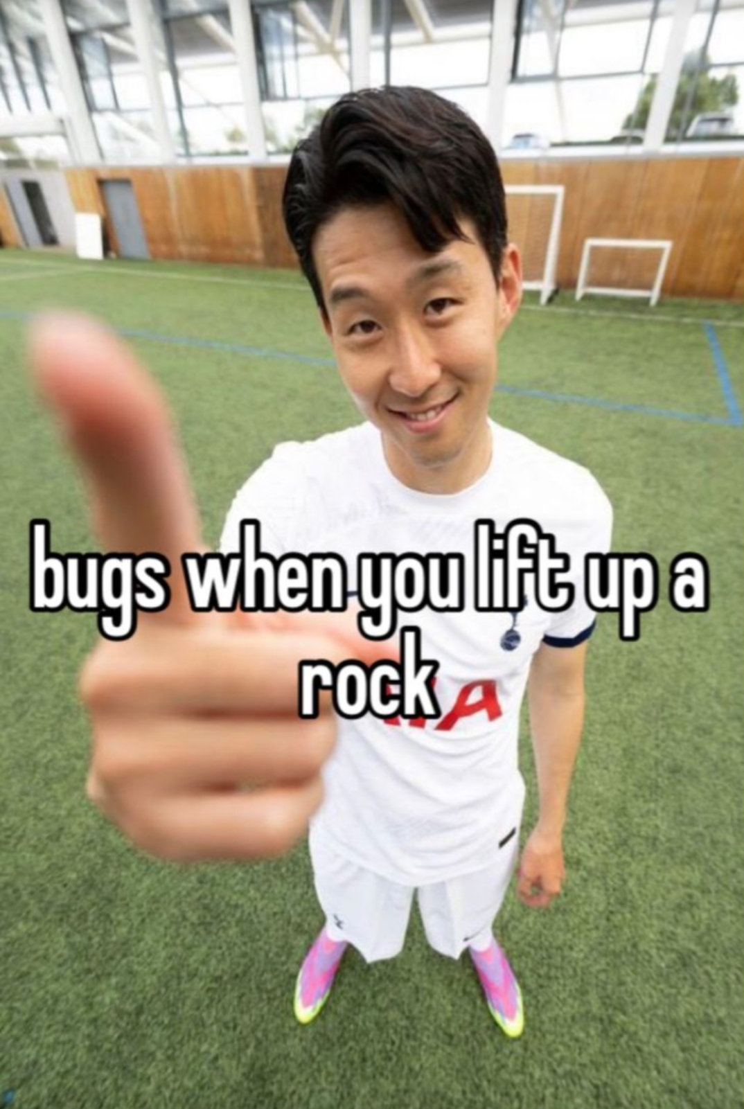 bugs when you lift up a rock Blank Meme Template