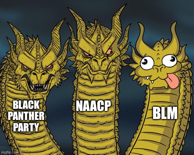 BLM Soyboys LoL | NAACP; BLACK PANTHER PARTY; BLM | image tagged in three-headed dragon,conservatives,civil rights,history memes,hehehe | made w/ Imgflip meme maker