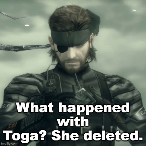 Metal Gear Solid Snake | What happened with Toga? She deleted. | image tagged in metal gear solid snake | made w/ Imgflip meme maker