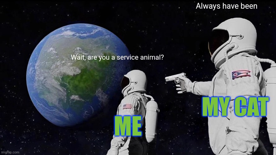 Someone has to give my sorry arse a reason to get out of bed | Always have been; Wait, are you a service animal? MY CAT; ME | image tagged in memes,always has been,depression | made w/ Imgflip meme maker