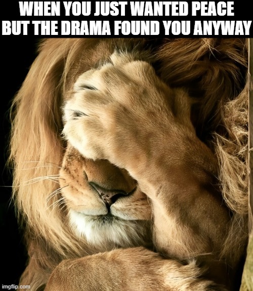 drama | WHEN YOU JUST WANTED PEACE BUT THE DRAMA FOUND YOU ANYWAY | image tagged in peace,memes,funny,drama,relatable memes,front page plz | made w/ Imgflip meme maker