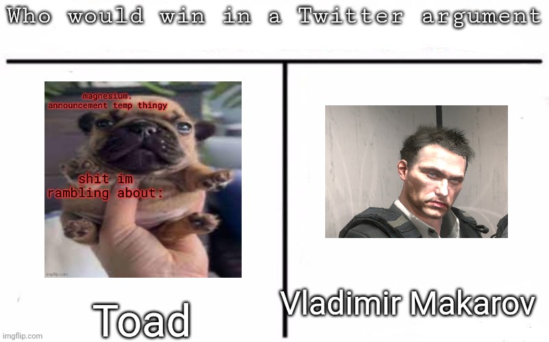 Pitting random mfs against each other | Vladimir Makarov; Toad | image tagged in pitting random mfs against each other,msmg,memes | made w/ Imgflip meme maker