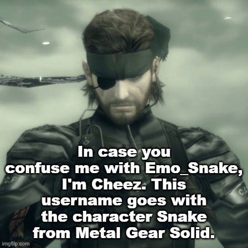 Metal Gear Solid Snake | In case you confuse me with Emo_Snake, I'm Cheez. This username goes with the character Snake from Metal Gear Solid. | image tagged in metal gear solid snake | made w/ Imgflip meme maker