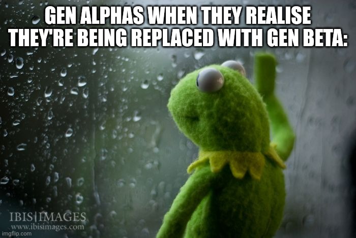 kermit window | GEN ALPHAS WHEN THEY REALISE THEY'RE BEING REPLACED WITH GEN BETA: | image tagged in kermit window | made w/ Imgflip meme maker