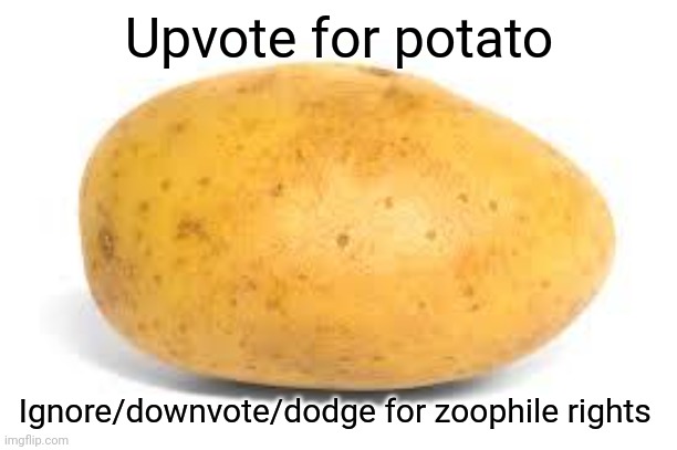 Potato | Upvote for potato; Ignore/downvote/dodge for zoophile rights | image tagged in potato,memes | made w/ Imgflip meme maker