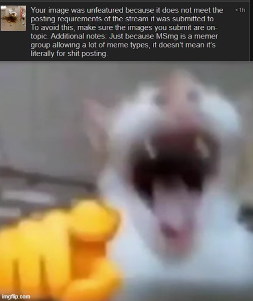 image tagged in cat pointing and laughing | made w/ Imgflip meme maker