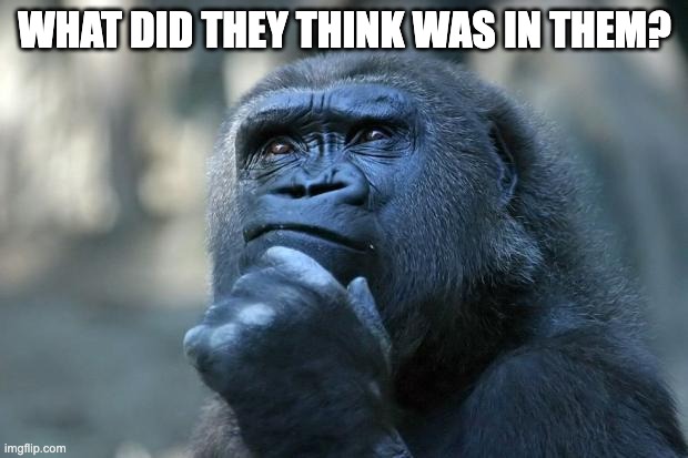 WHAT DID THEY THINK WAS IN THEM? | image tagged in deep thoughts | made w/ Imgflip meme maker